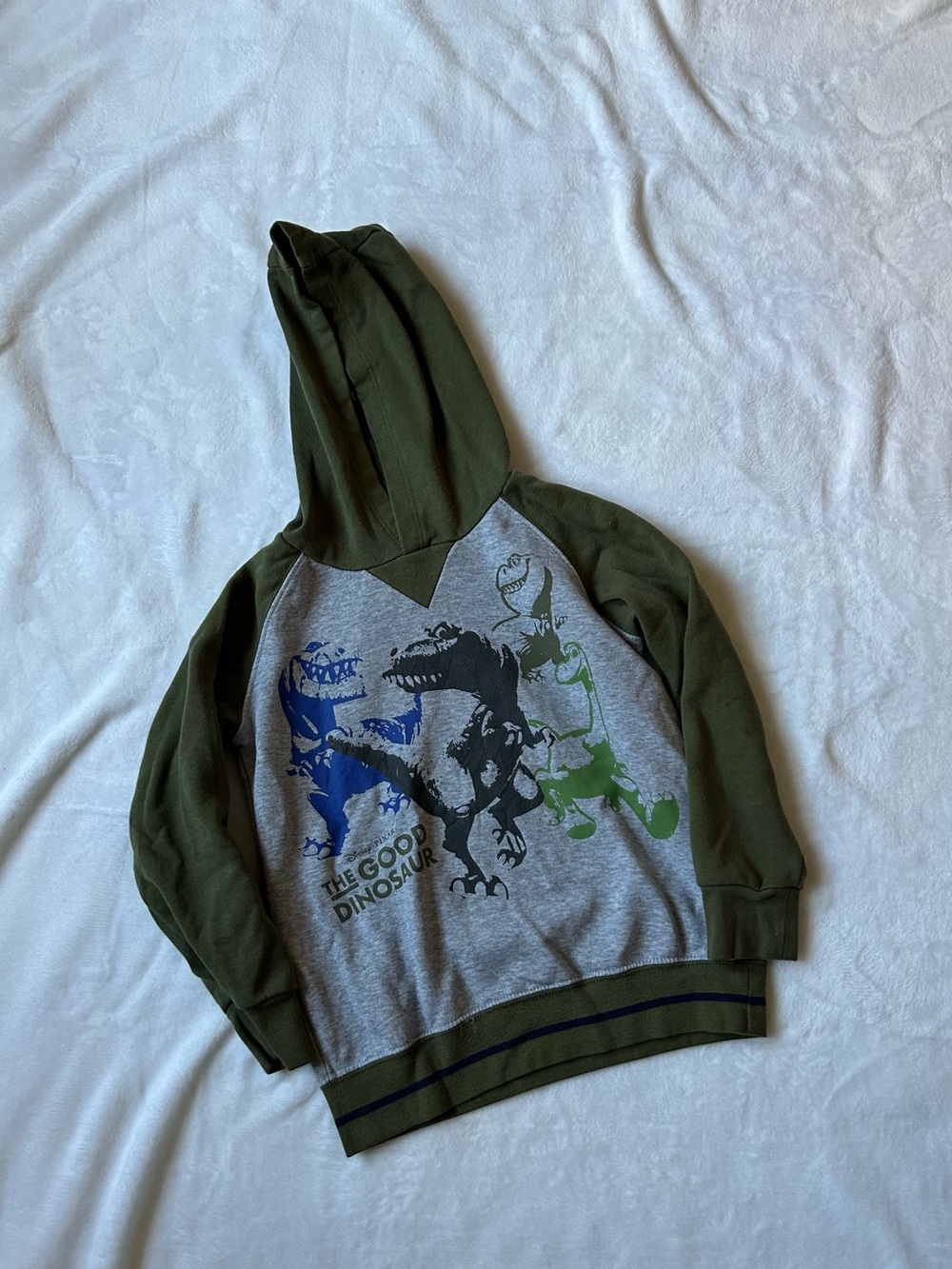 Disney Pixar The Good Dinosaur Boys Hoodie Size 5 Okie Dokie Dinosaur Pullover